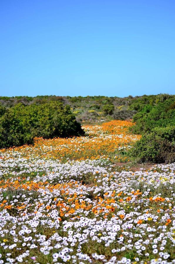 Appartamento Cvista Jacobs Bay Esterno foto